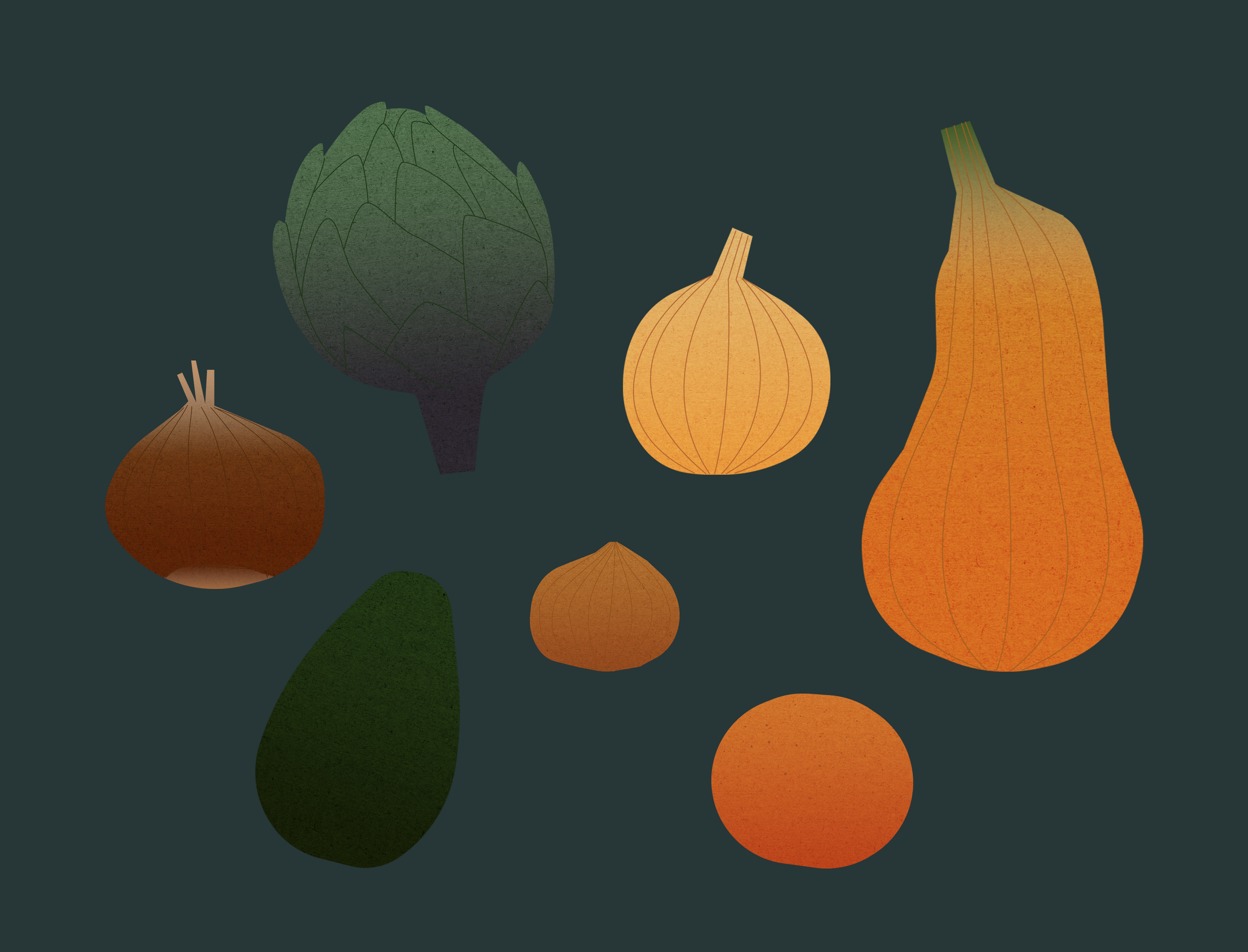 Illustrations de légumes